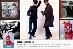 Screenshot des Instagram-Accounts von @esteticaflamenca 2014