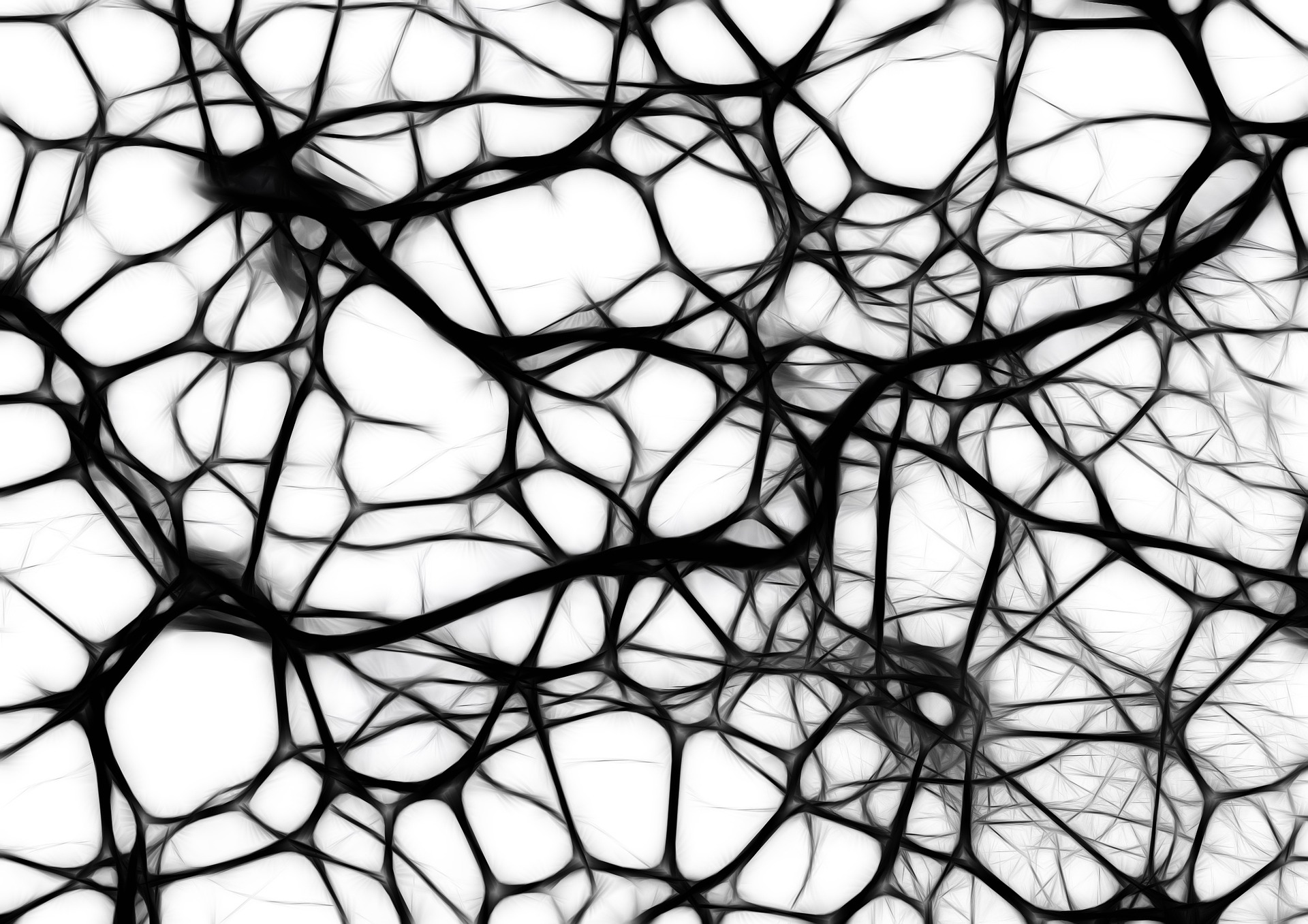Neuronen Gehirn und Vernetzung