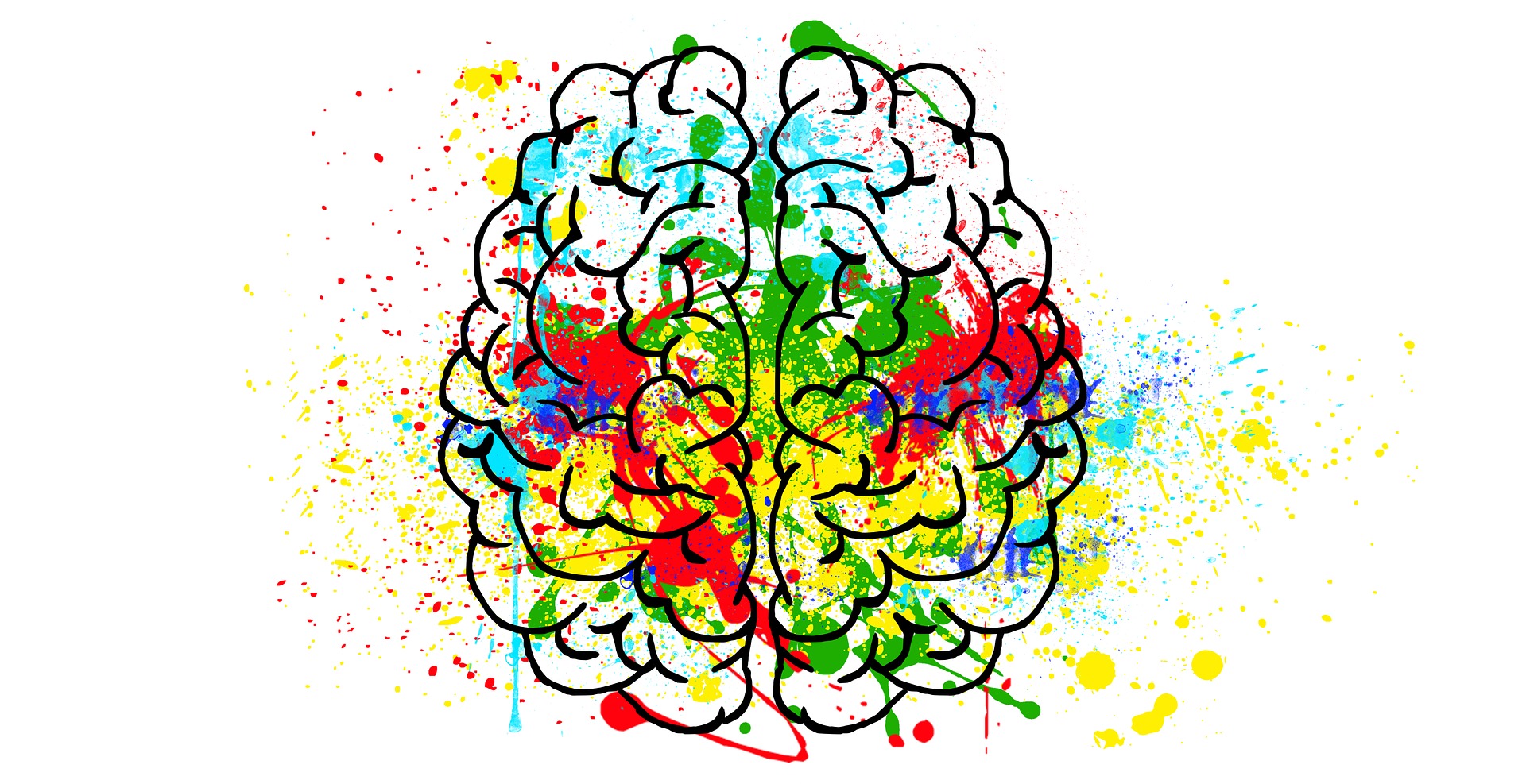 Gehirn mit Farbe