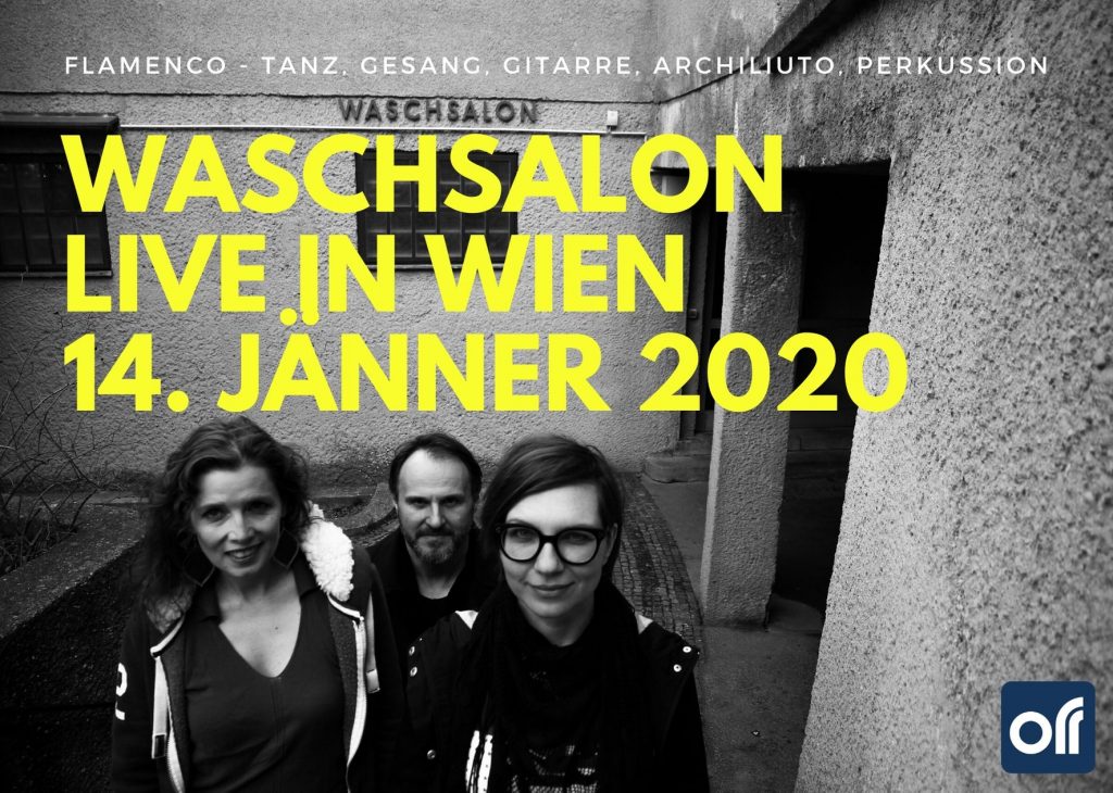 Waschsalon - live in Wien am 14 Jaenner 2020 