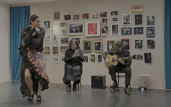 Flamenco-Konzert in der Peña Flamenca La Granaina in Wien. Tanz: Carina La Debla (Sevilla), Gesang: Elena La Granaina (Wien), Gitarre: Franklin Henao (Wien)